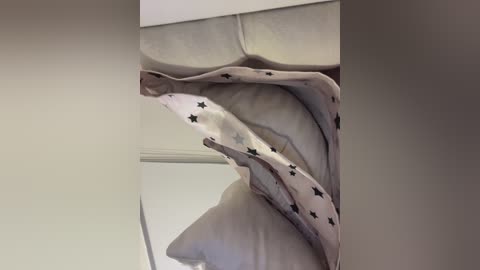 sallyeleins free recording from 2025-07-24 03:13:00