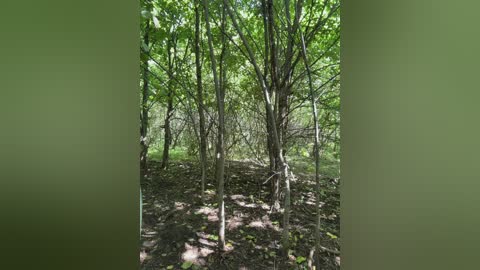 daddysgirl9 free recording from 2025-07-25 07:36:00