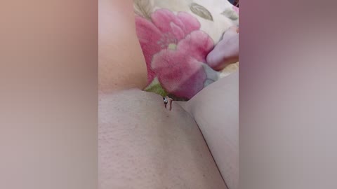 elena_05 free recording from 2026-04-14 02:45:00