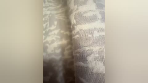 esce13 free recording from 2026-04-14 02:03:00