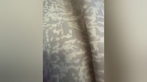 esce13 free recording from 2026-04-14 02:03:00