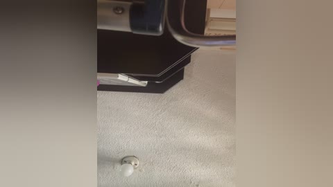 sallyeleins free recording from 2025-07-26 15:12:00