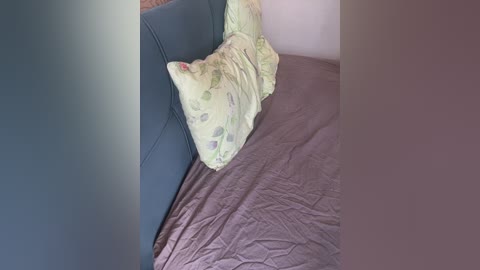 163volga free recording from 2025-07-29 03:17:00