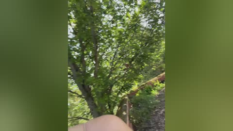 _breid_1 free recording from 2025-07-29 09:42:00