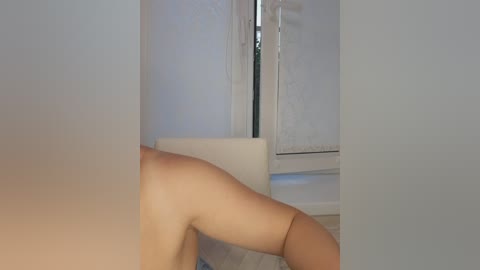 anesteishen free recording from 2025-07-29 16:33:00