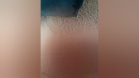 foxbaby691 free recording from 2025-07-31 13:18:00