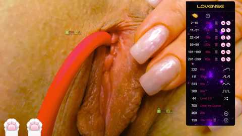 elena_xxx free recording from 2025-08-02 22:52:00