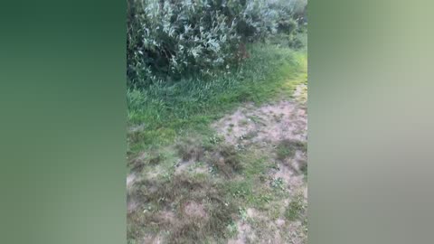 loveandsex24 free recording from 2025-08-02 13:16:00