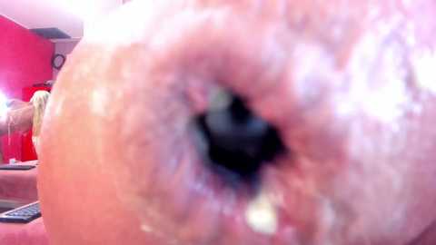 nikkahotx free recording from 2025-08-02 06:39:00