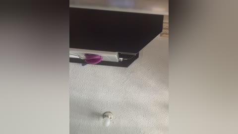 sallyeleins free recording from 2025-08-03 16:57:00