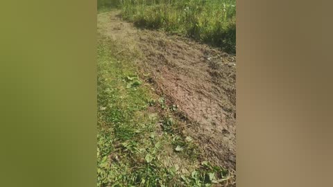 zhozhoba69 free recording from 2025-08-03 05:59:00