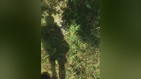 zhozhoba69 free recording from 2025-08-03 07:18:00