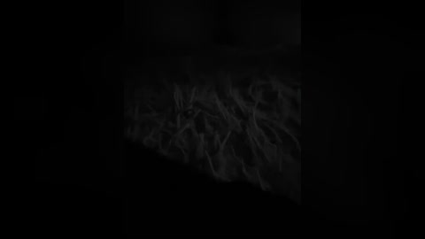 foxbaby691 free recording from 2026-04-14 07:06:00