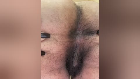 fari1206 free recording from 2026-04-14 07:06:00