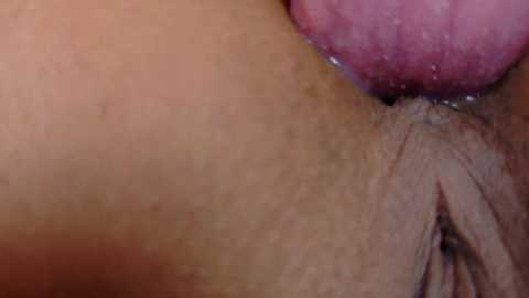 farianaall free recording from 2025-08-06 05:24:00