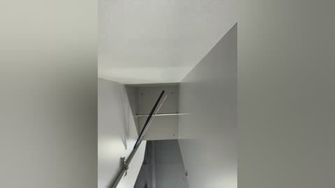 adelaida1001 free recording from 2025-08-08 04:09:00