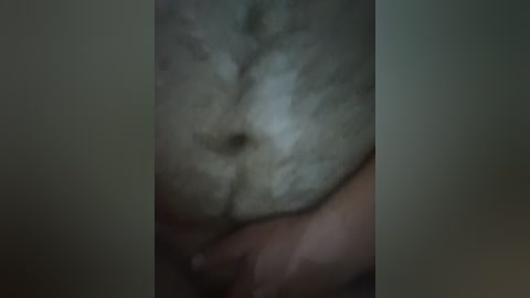 eva6 free recording from 2025-08-08 17:57:00