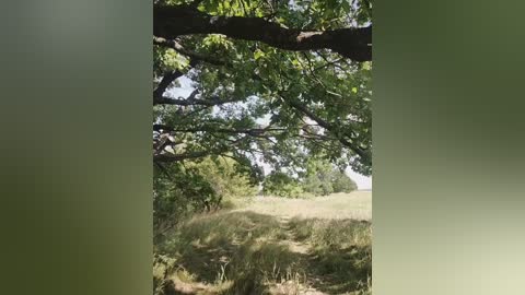 her_girl free recording from 