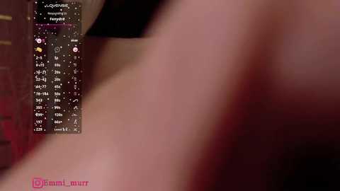 anna_r free recording from 2025-08-10 04:04:00