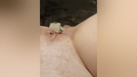 eva6 free recording from 2025-08-10 14:06:00