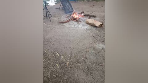 artem29aalisa29 free recording from 2025-08-11 14:56:00