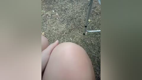 artem29aalisa29 free recording from 2025-08-11 15:19:00