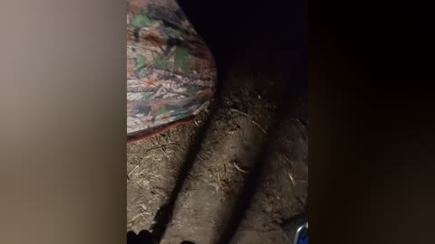 artem29aalisa29 free recording from 2025-08-11 19:35:00