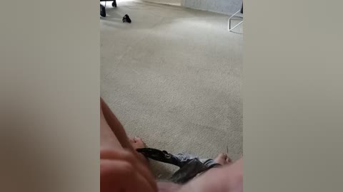 eva6 free recording from 2025-08-11 02:09:00