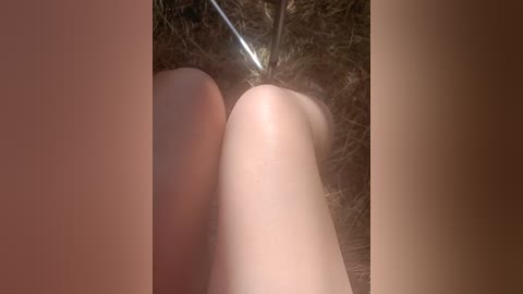 artem29aalisa29 free recording from 2025-08-12 09:38:00