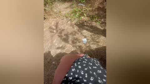 artem29aalisa29 free recording from 2025-08-12 11:43:00