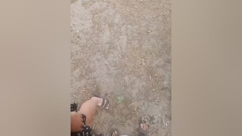 artem29aalisa29 free recording from 2025-08-12 12:45:00