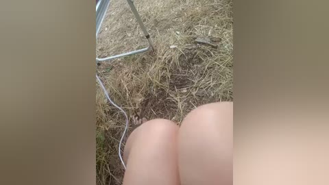 artem29aalisa29 free recording from 2025-08-12 13:04:00