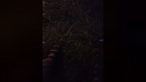 artem29aalisa29 free recording from 2025-08-12 17:04:00