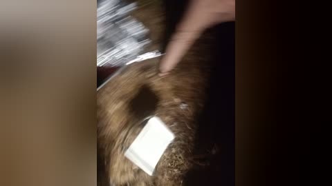 artem29aalisa29 free recording from 2025-08-12 18:10:00