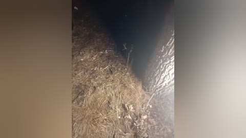 artem29aalisa29 free recording from 2025-08-12 18:37:00