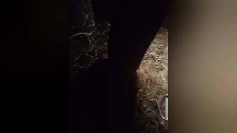 artem29aalisa29 free recording from 2025-08-12 18:51:00