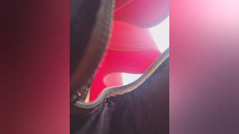 editamilf free recording from 2025-08-14 11:31:00