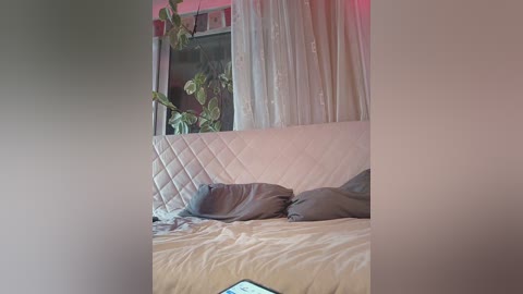 pink0811 free recording from 2026-04-17 00:29:00