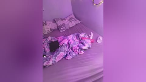 happyhousewithbelka free recording from 2025-08-15 05:29:00