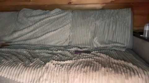 sexy6969 free recording from 2025-08-15 21:39:00