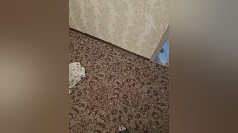 chupachups02 free recording from 2025-08-16 01:19:00