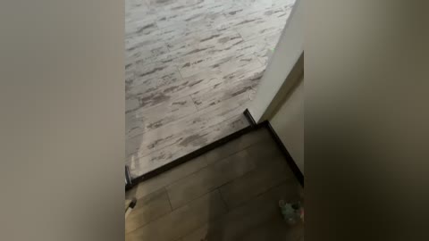 enotpanteera free recording from 2026-04-14 02:03:00