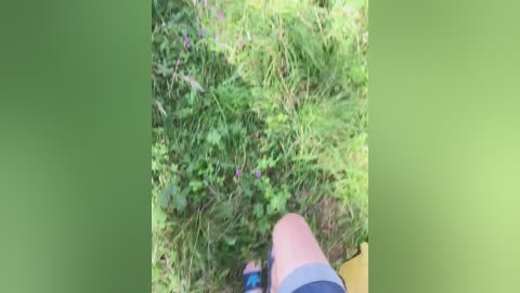 sexpara2022lo free recording from 2025-08-16 09:21:00