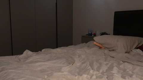 elisonni free recording from 2025-08-17 22:57:00