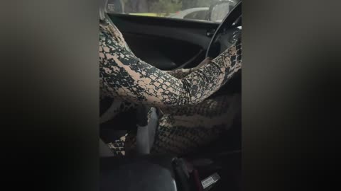 doublewm free recording from 2025-08-18 16:59:00