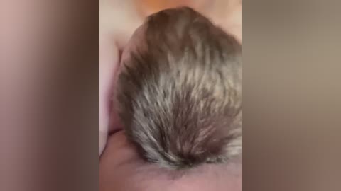 essss33331 free recording from 2025-08-18 15:51:00