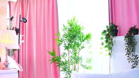 artteasee free recording from 2025-12-05 01:41:00