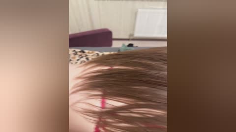 fox_81 free recording from 2025-08-20 20:01:00