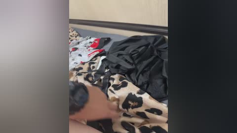 fox_81 free recording from 2025-08-20 20:45:00