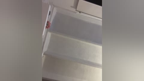 sallyeleins free recording from 2025-08-20 03:15:00